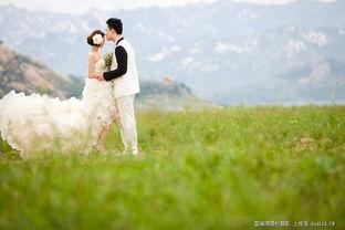 青青青草国产,探寻青青青草国的绿色奇迹